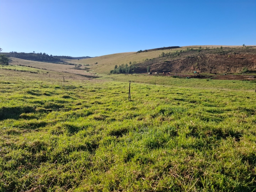 6 Bedroom Property for Sale in Riversdale Rural Western Cape